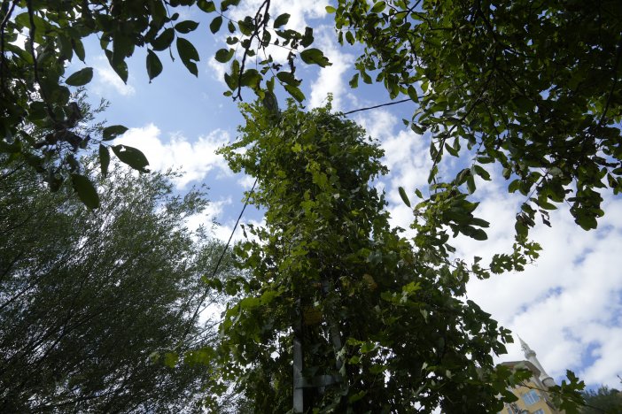 aw773974-01.jpg