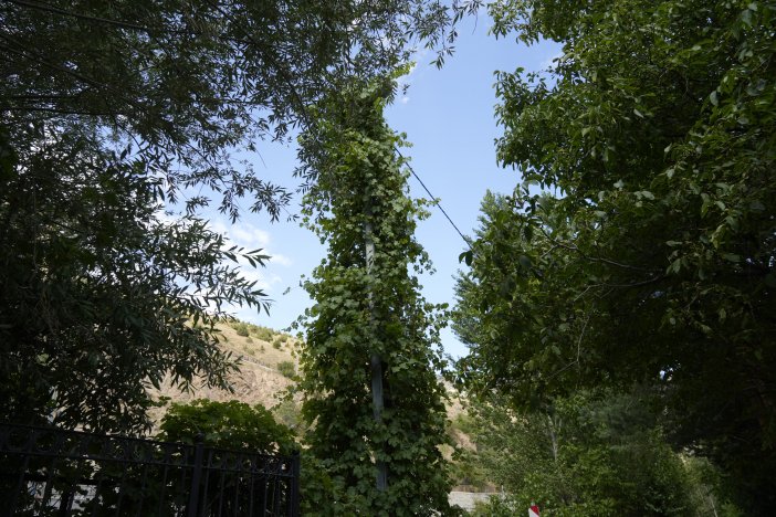 aw773974-05.jpg