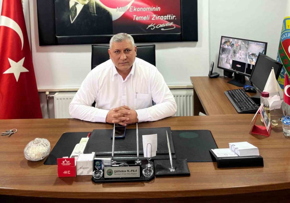 Samsun Vezirköprü'de Yağlık Ayçiçeği Hasadı Başladı: 24 Bin Ton Rekolte Bekleniyor