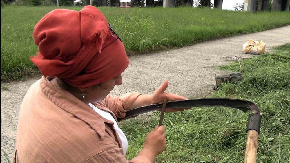 Rize’de belediyeden önce davranıyor: Hayvanları için kent merkezinde ot biçiyor