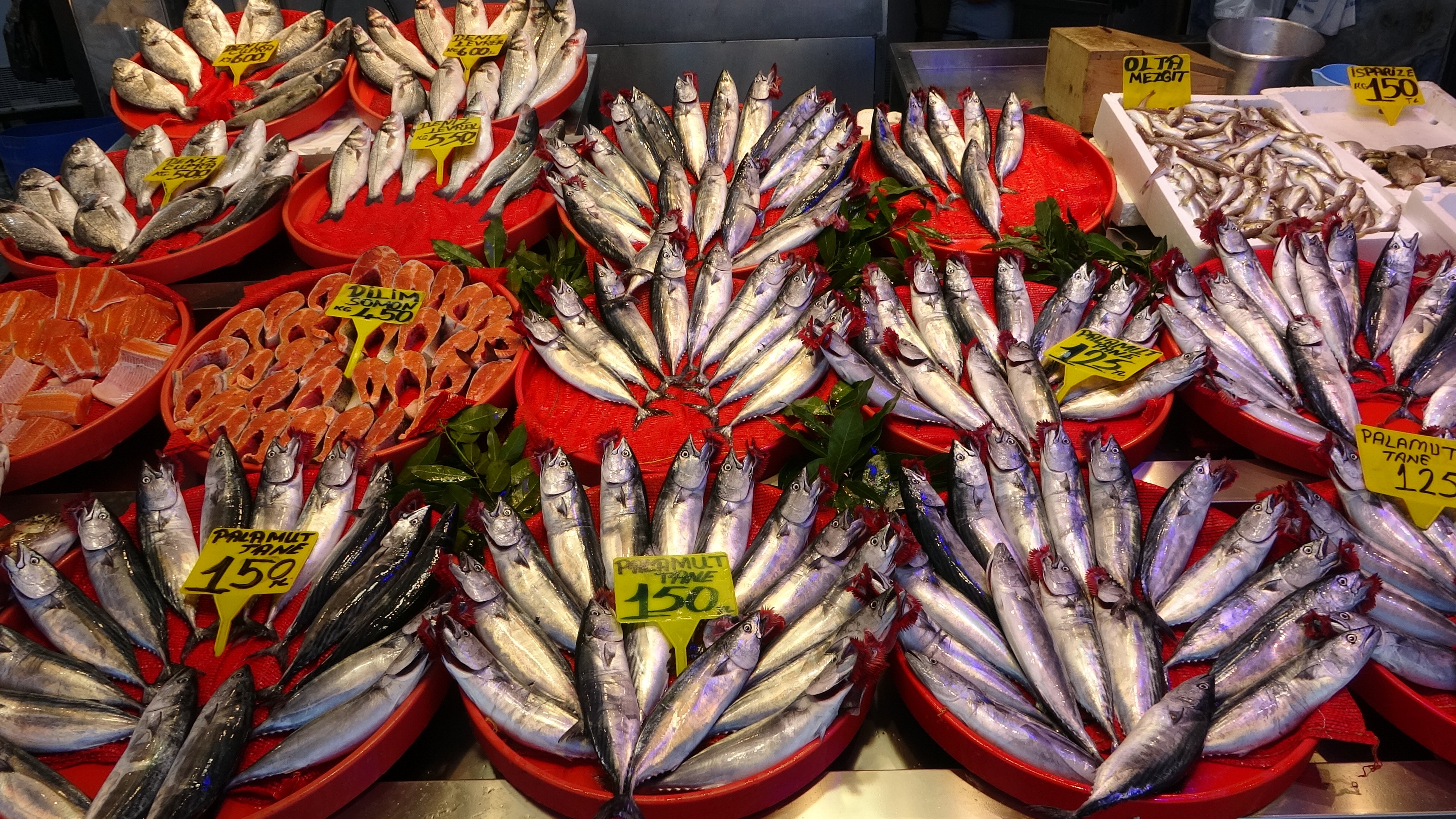 aw778905-01.jpg