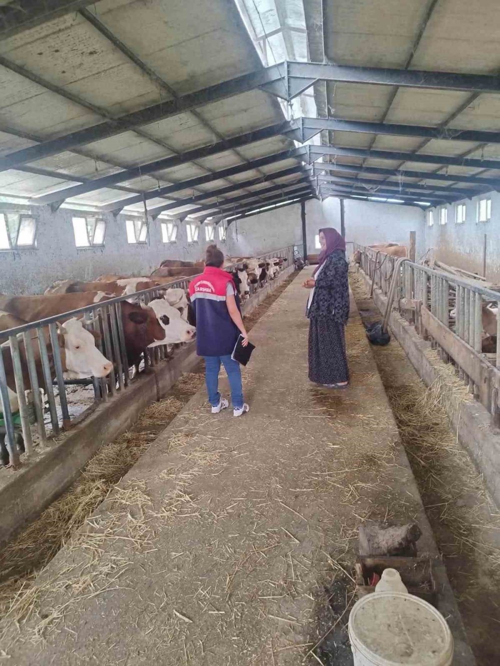 Çarşamba’da Yetiştiricilere Hastalıktan Ari İşletme Bilgilendirmesi