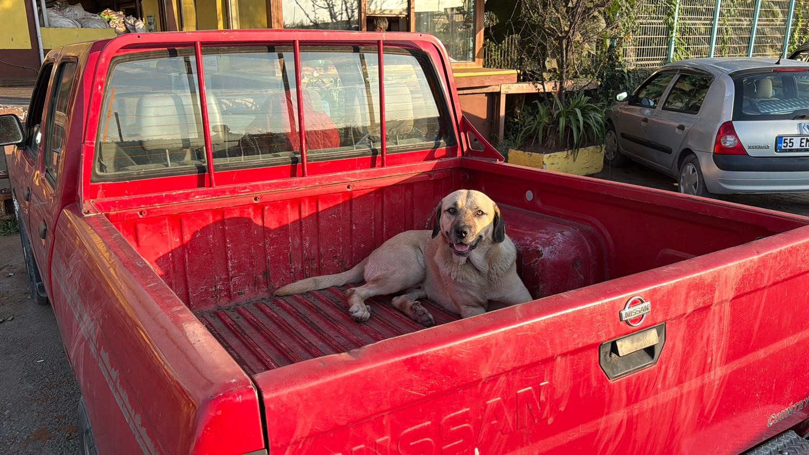 aw781017-06.jpg