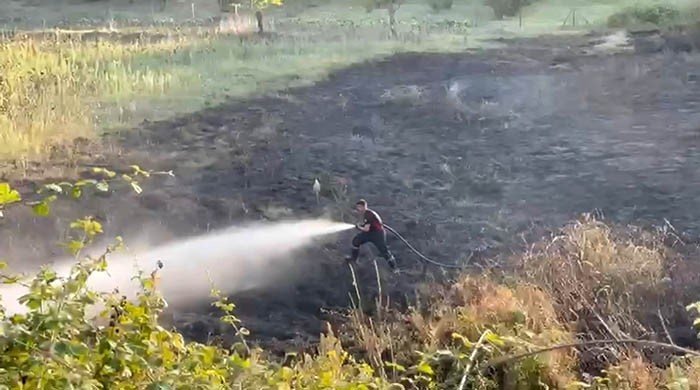 Tarlada Yakılan Ateş Otluk Alana Sıçradı: 4 Dönüm Alan Zarar Gördü
