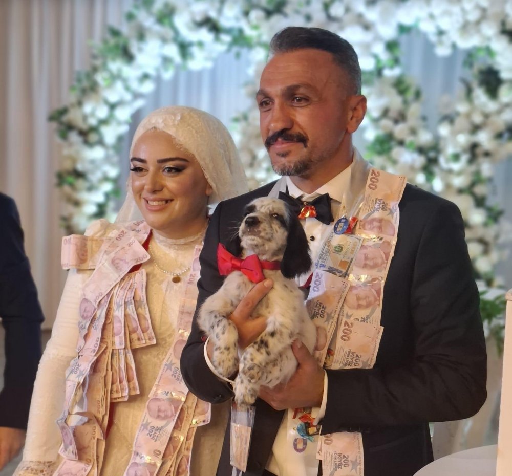 Trabzon’daki düğünde şaşırtan takı: Damada altın yerine av köpeği yavrusu