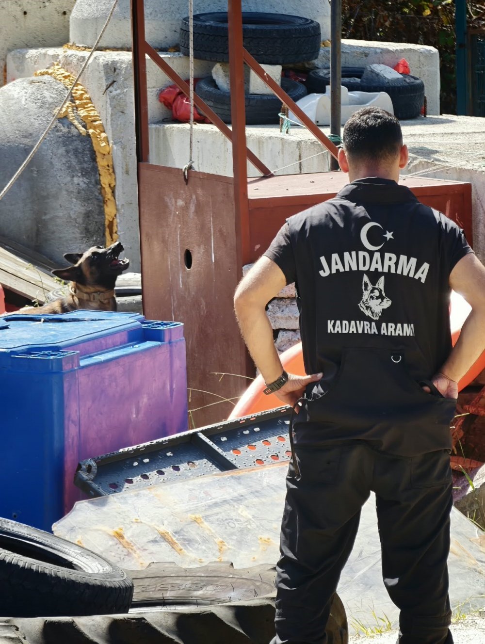 Arama Kurtarma Köpeklerinin Eğitim Üssü Trabzon Oldu