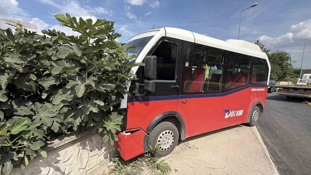Köpeğe Çarpmamak İçin Manevra Yapan Halk Otobüsü Duvara Çarptı