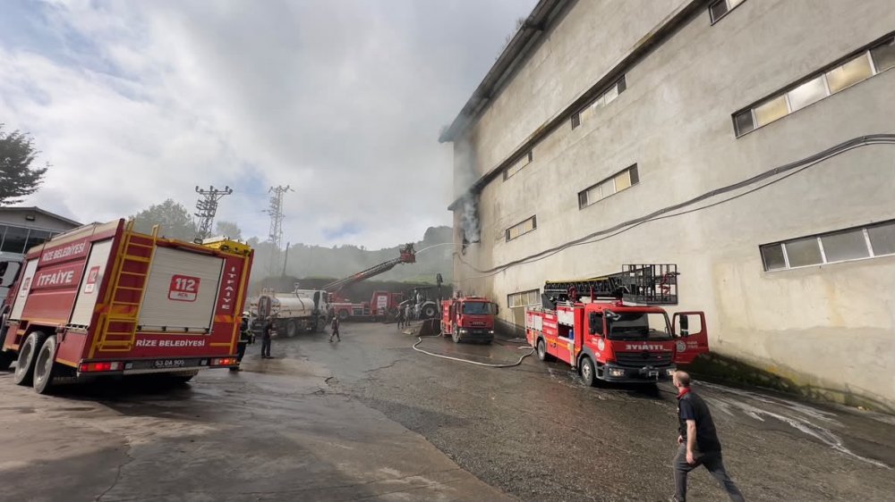 Çayeli’ndeki çay fabrikasında yangın: Depoda kuru çay bulunmaması alevlerin yayılmasını önledi