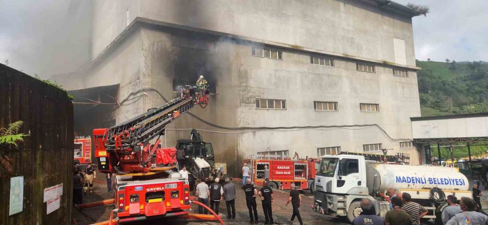 Çayeli’ndeki çay fabrikasında yangın: Depoda kuru çay bulunmaması alevlerin yayılmasını önledi
