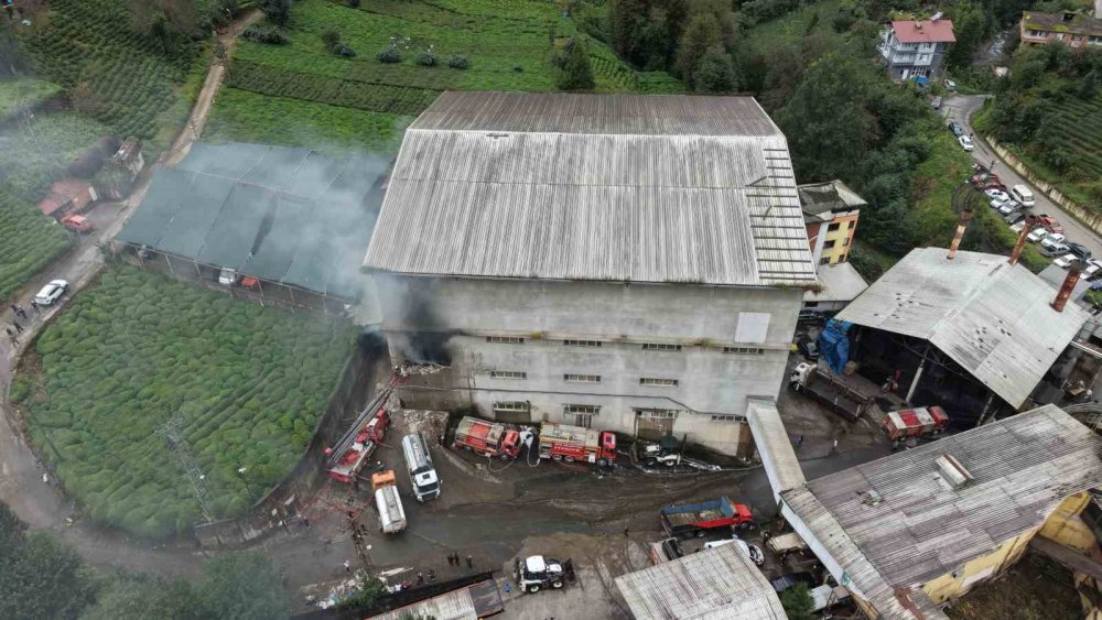 Çayeli’ndeki çay fabrikasında yangın: Depoda kuru çay bulunmaması alevlerin yayılmasını önledi