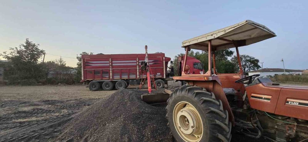 Yağlık Ayçiçeği Alım Fiyatı Açıklandı: Yüzde 17,2 Artış, Ton Başına 34 Bin Lira