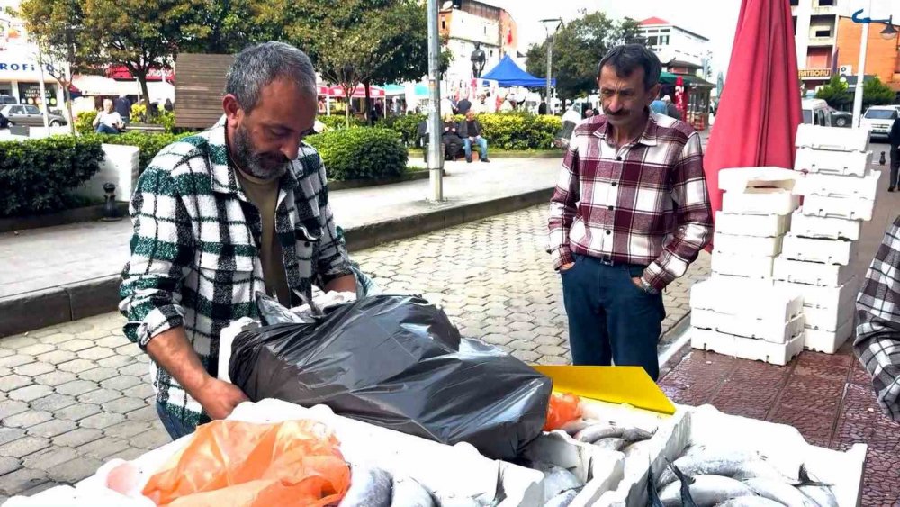 Rize’de Palamut Bereketi: 3 Tanesi 100 TL